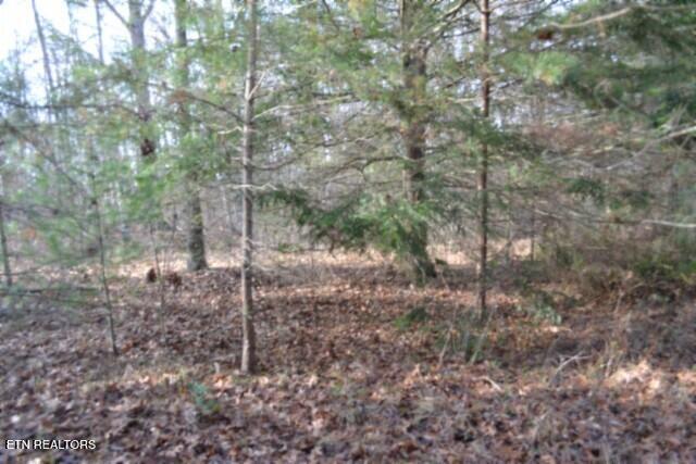 Lot 4 Shotgun Annie Road Jamestown TN 38556