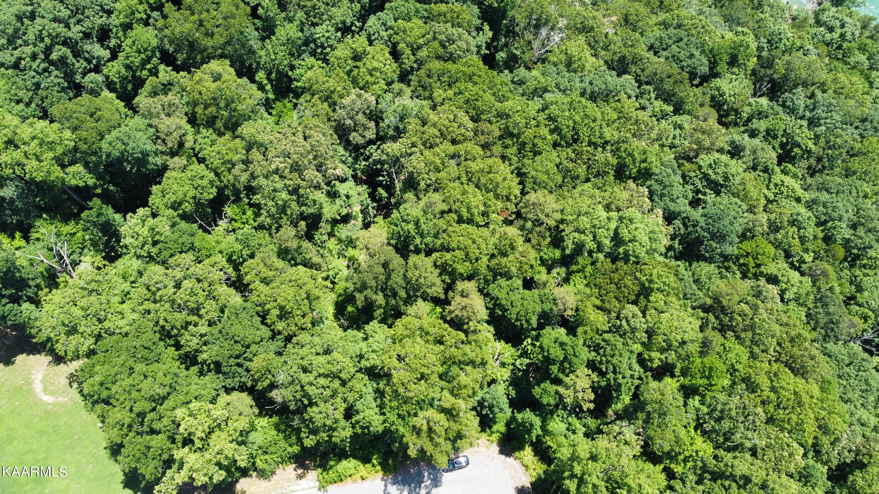 Lot 37 Pinnacle Lane Lafollette TN 37766