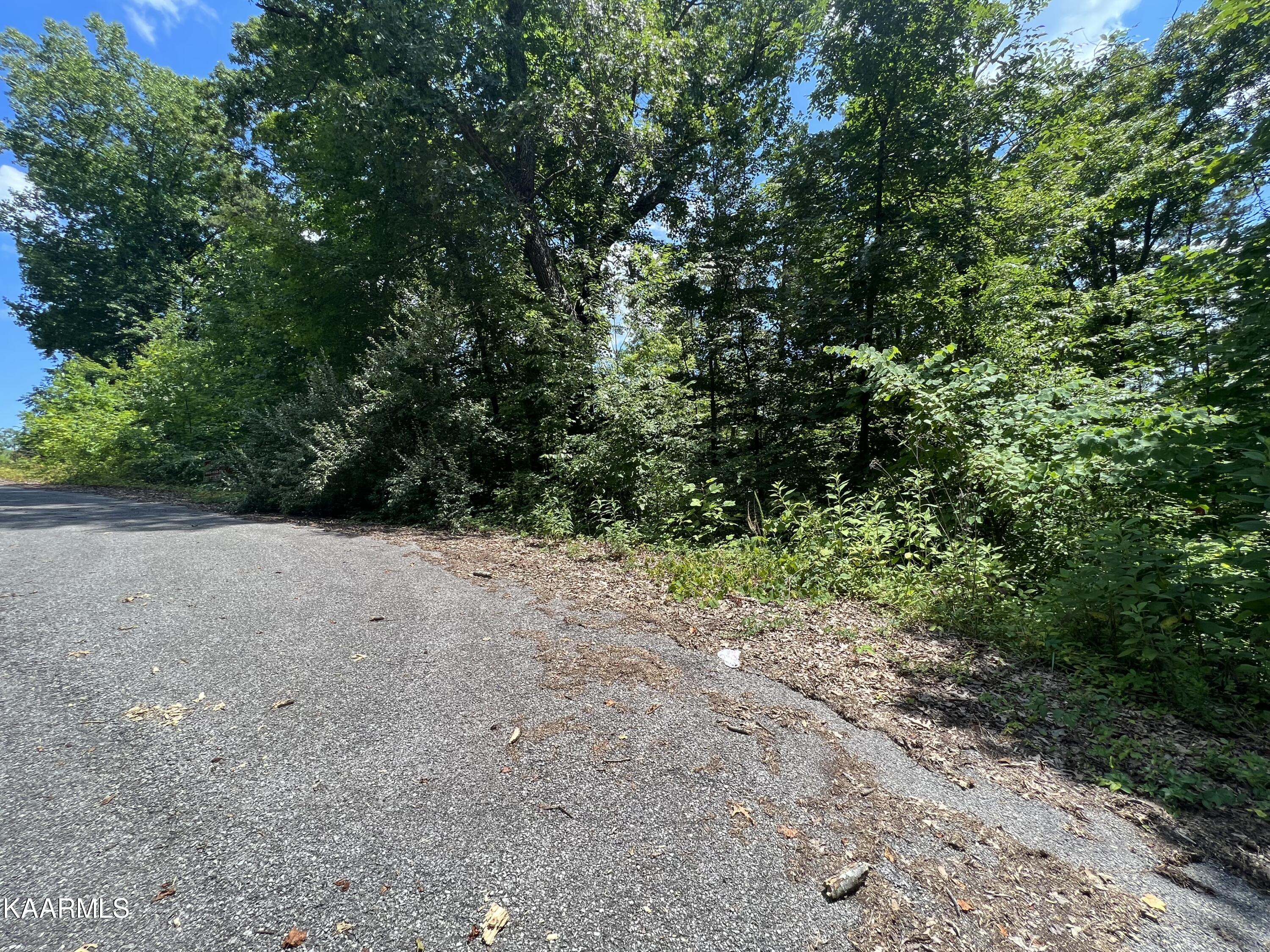 Lot 37 Pinnacle Lane Lafollette TN 37766