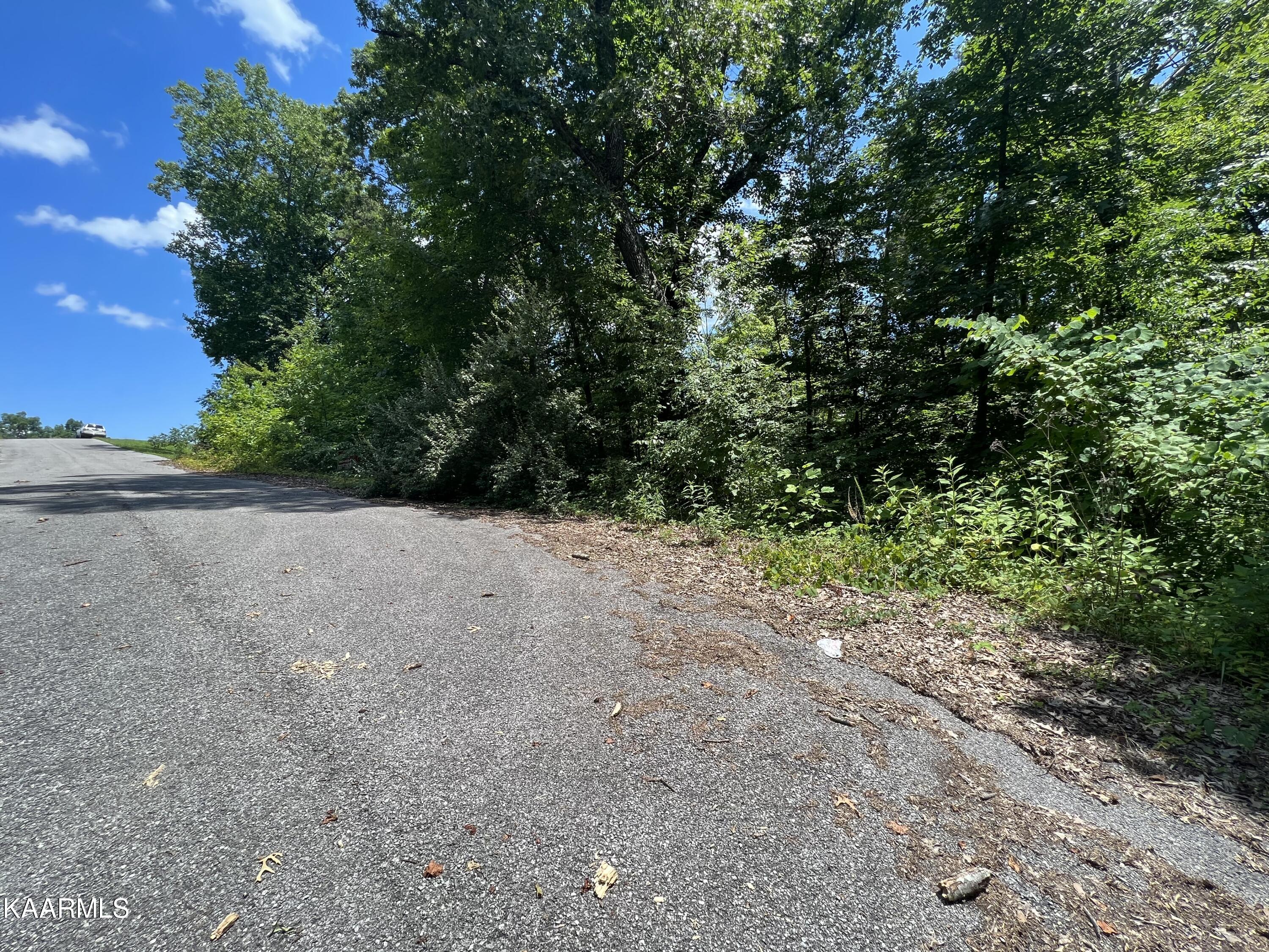 Lot 37 Pinnacle Lane Lafollette TN 37766