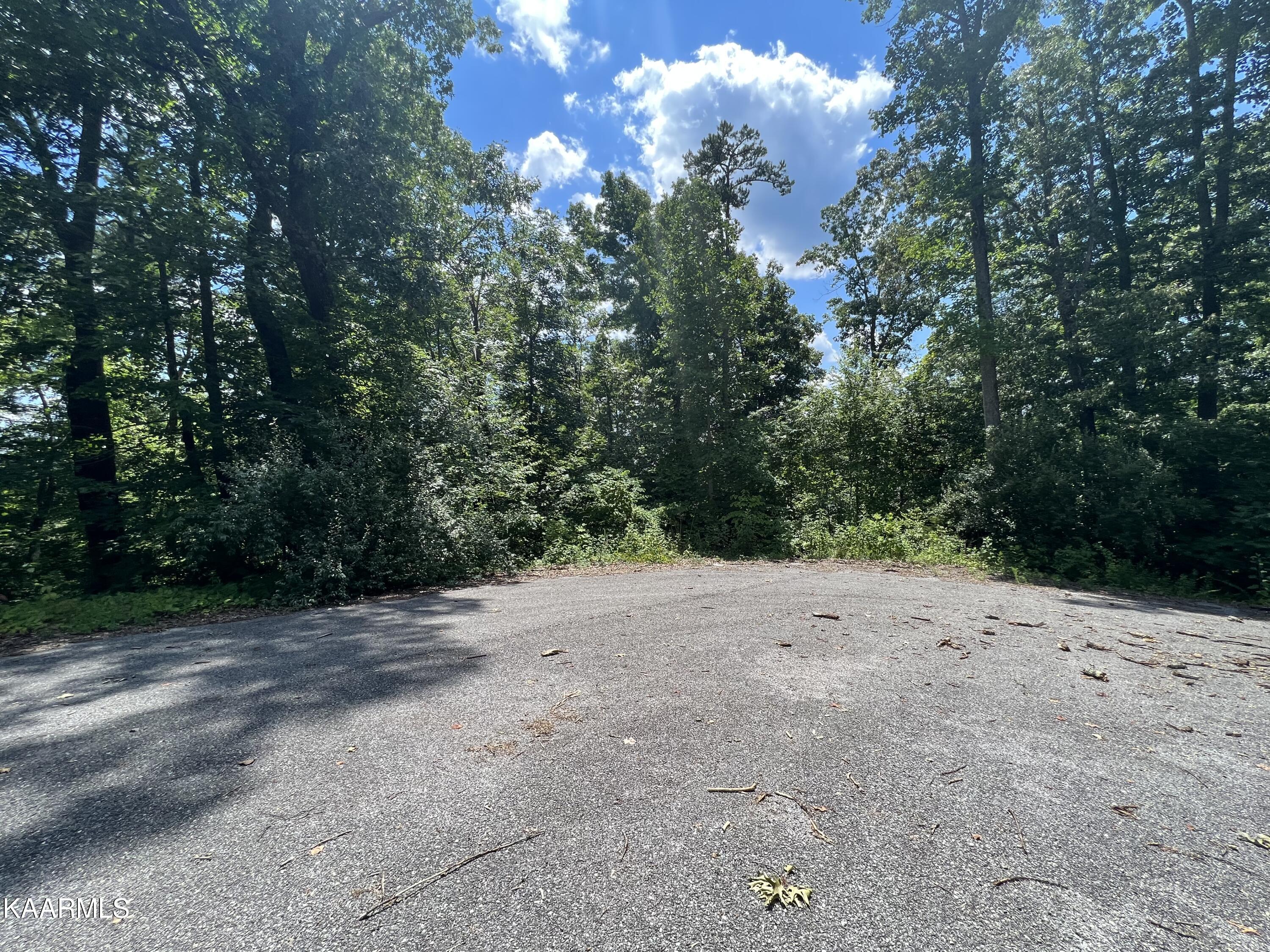 Lot 37 Pinnacle Lane Lafollette TN 37766