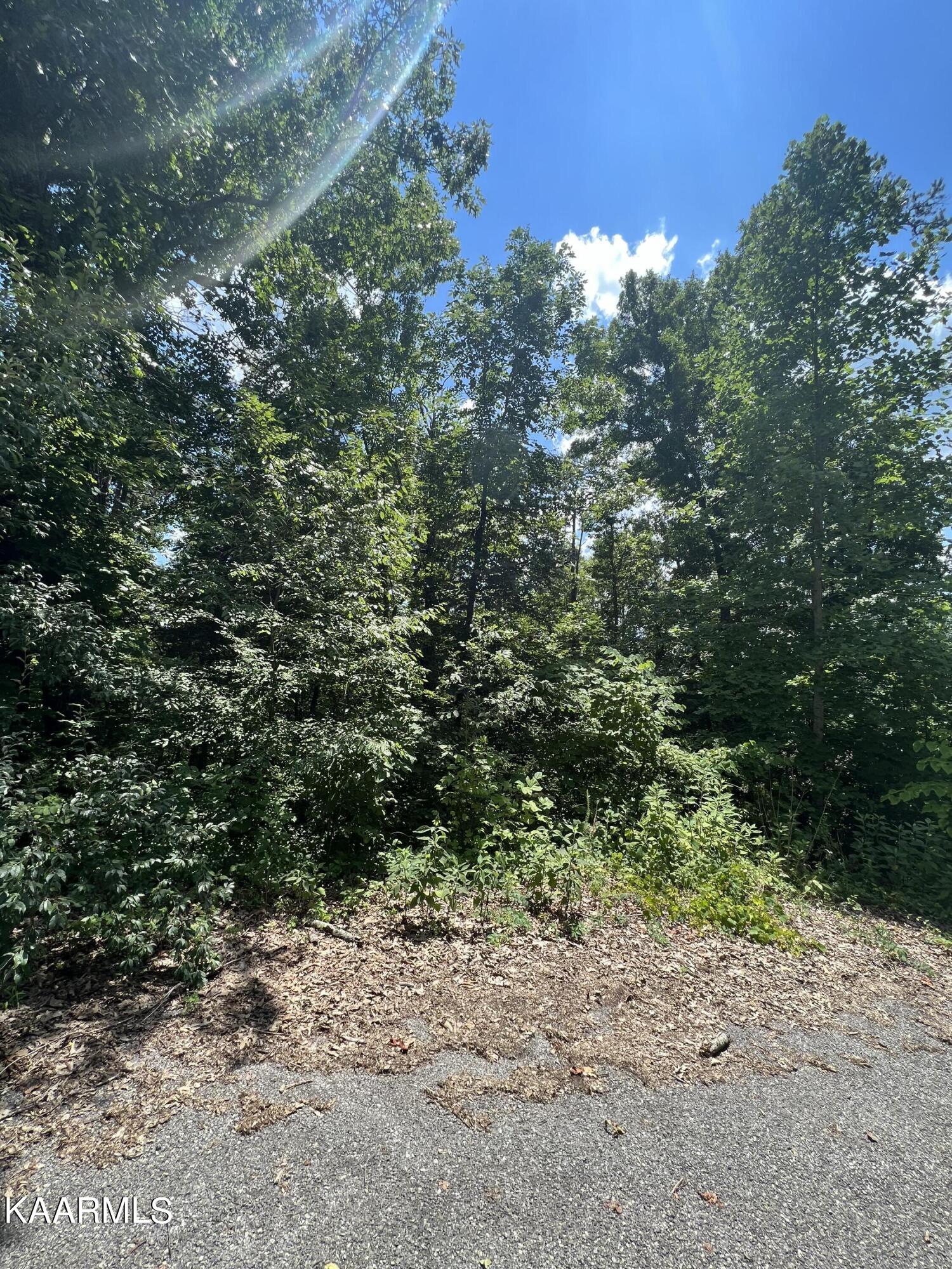 Lot 37 Pinnacle Lane Lafollette TN 37766