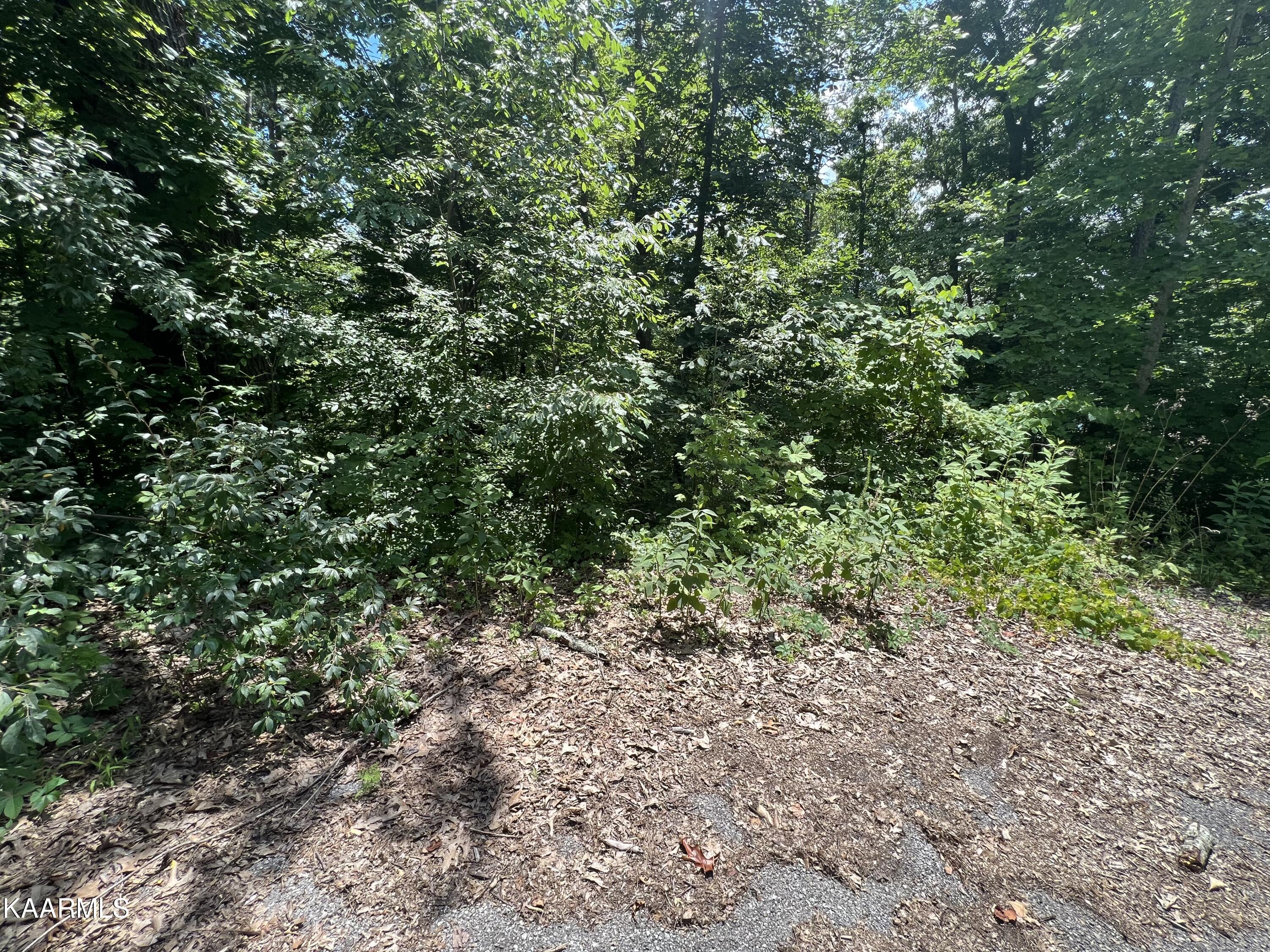 Lot 37 Pinnacle Lane Lafollette TN 37766