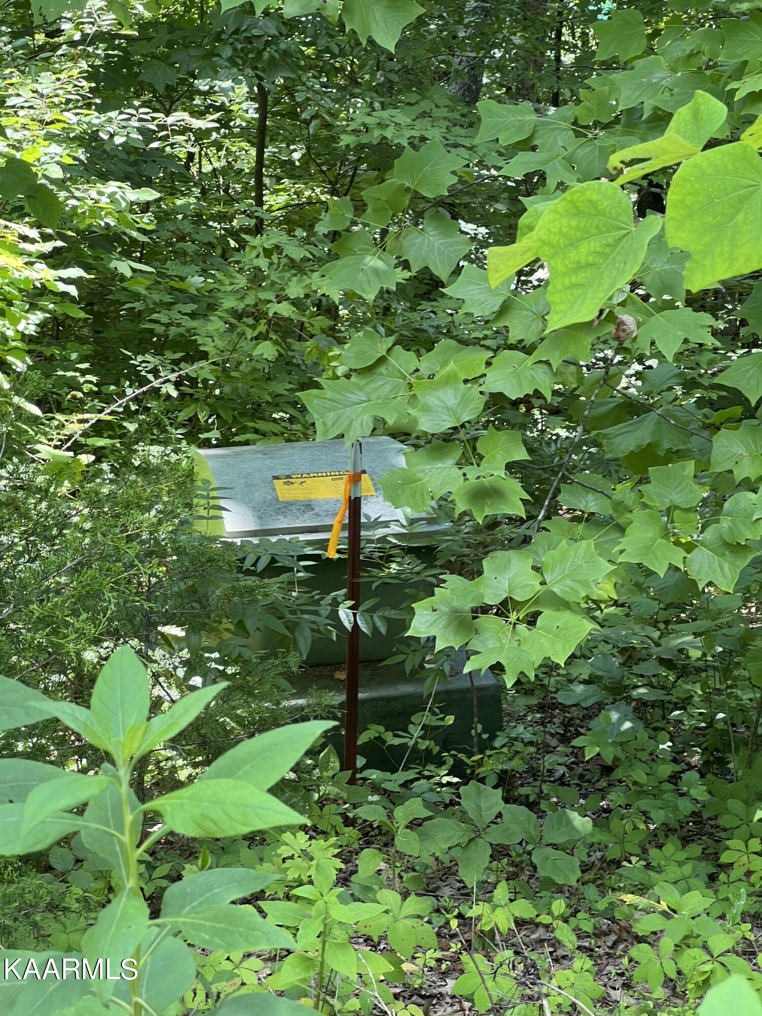 Lot 37 Pinnacle Lane Lafollette TN 37766