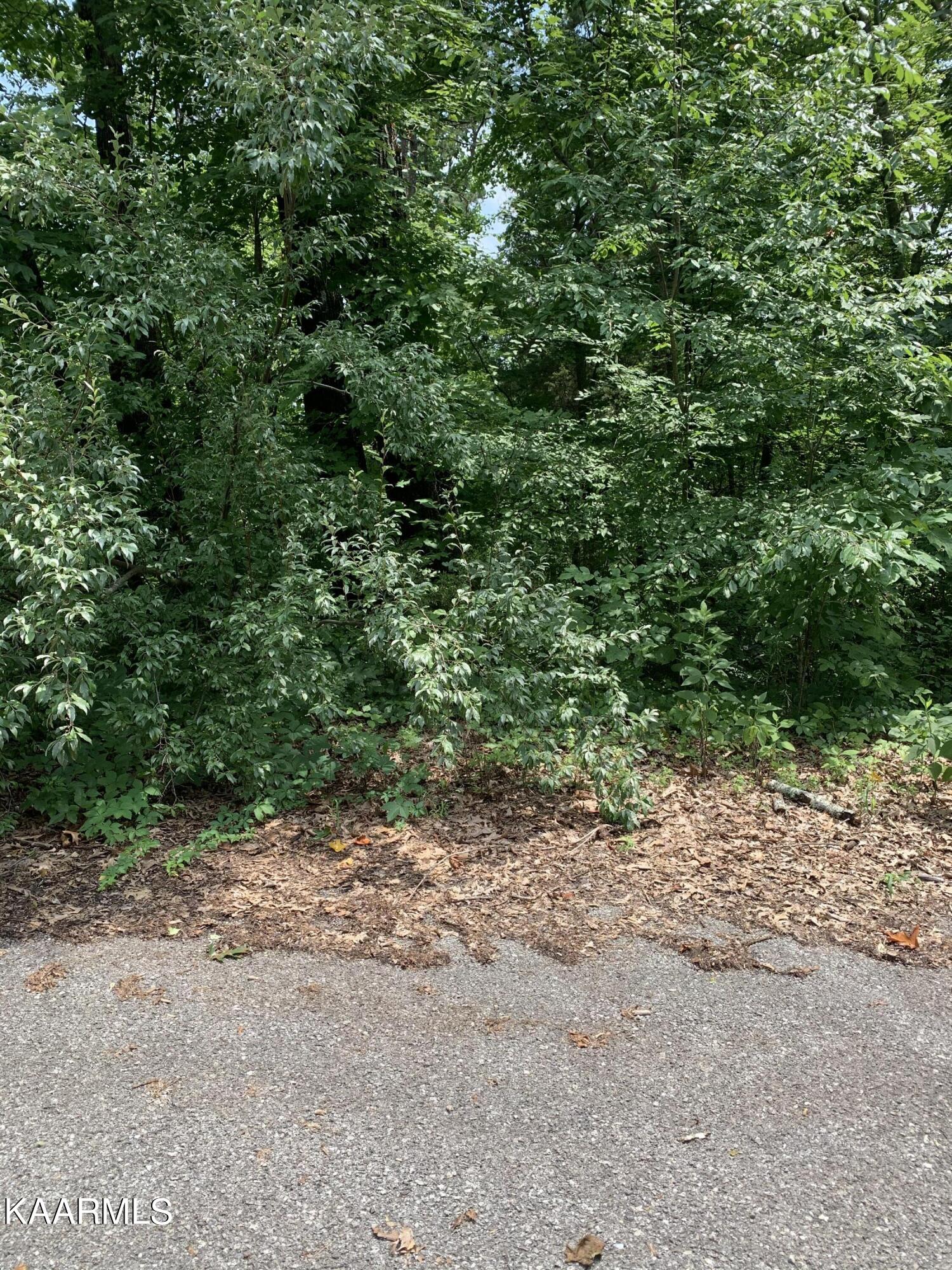 Lot 37 Pinnacle Lane Lafollette TN 37766