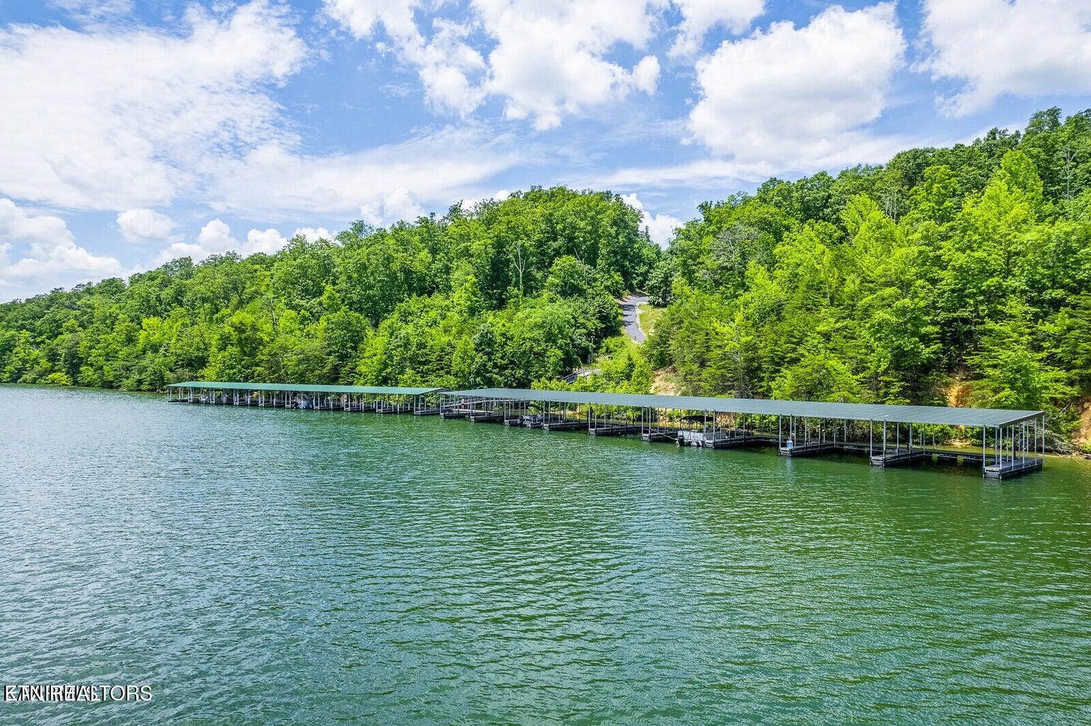 439 Ridgeway Pass Spring City TN 37381