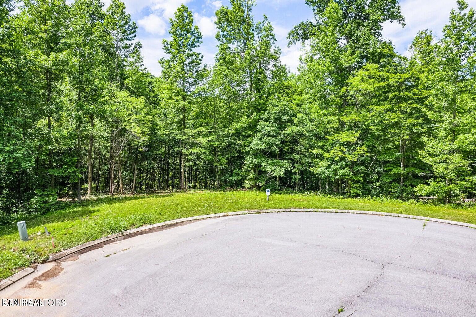 439 Ridgeway Pass Spring City TN 37381