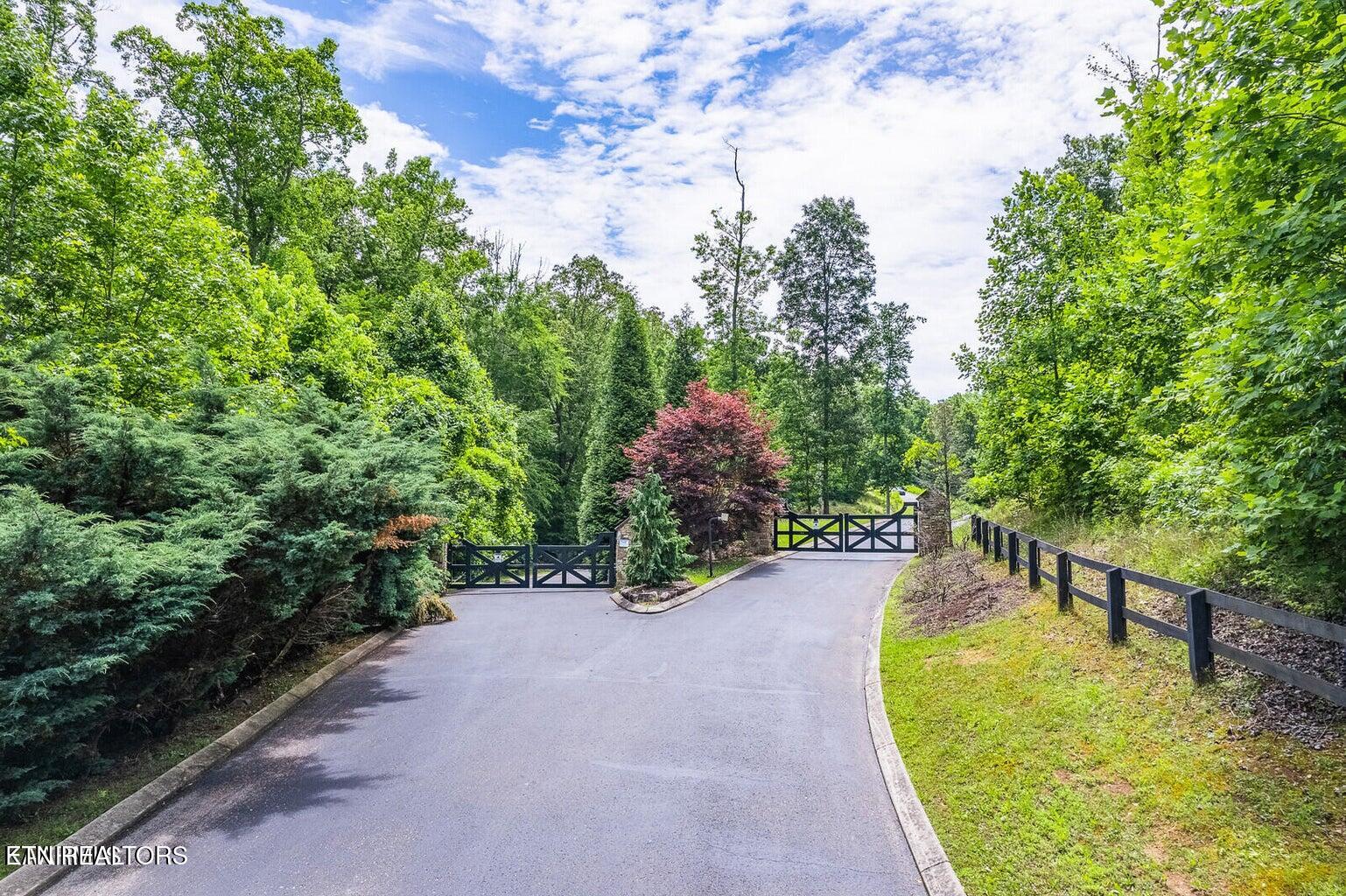 439 Ridgeway Pass Spring City TN 37381