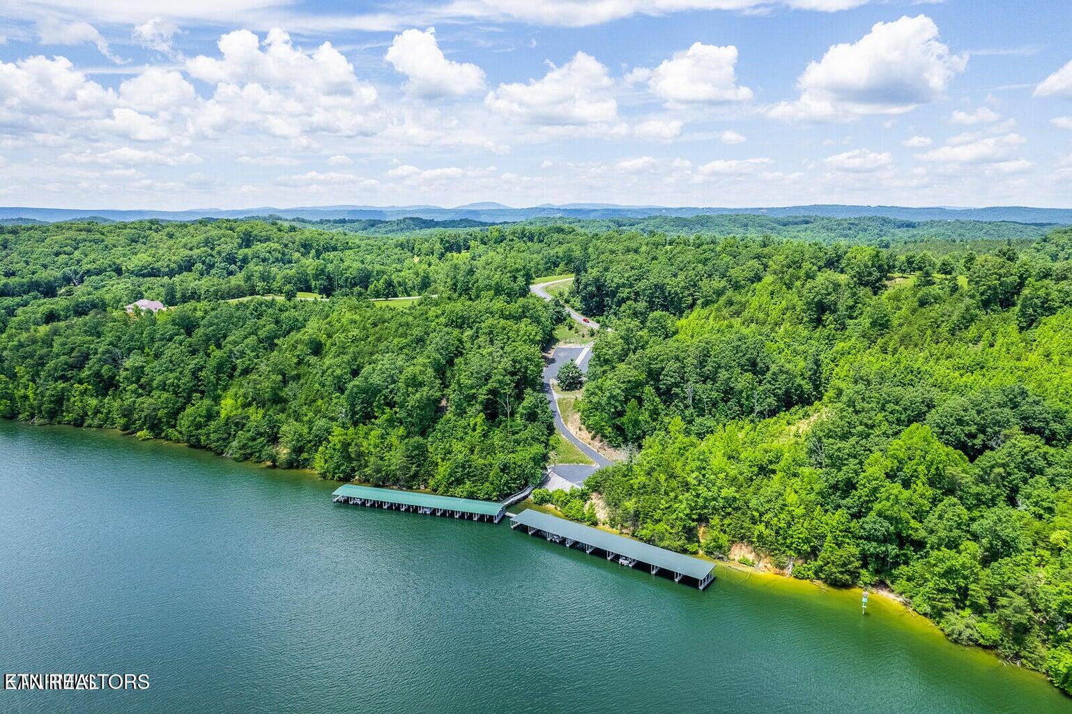 439 Ridgeway Pass Spring City TN 37381