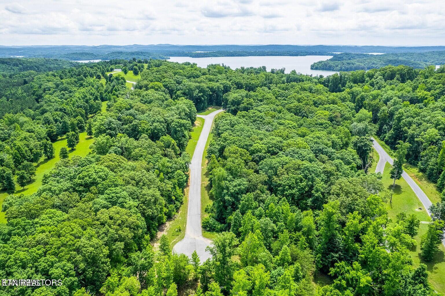 439 Ridgeway Pass Spring City TN 37381