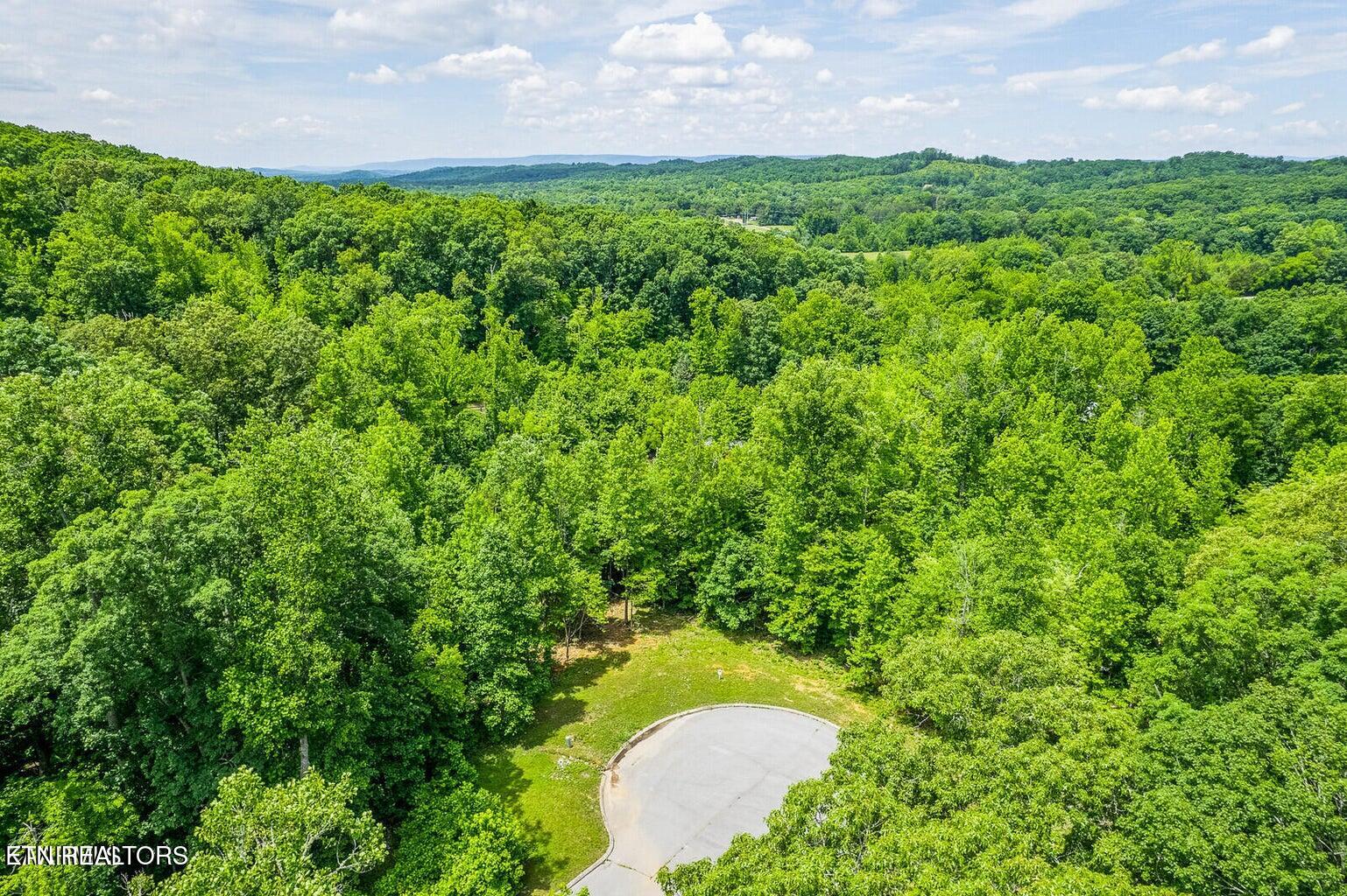 439 Ridgeway Pass Spring City TN 37381