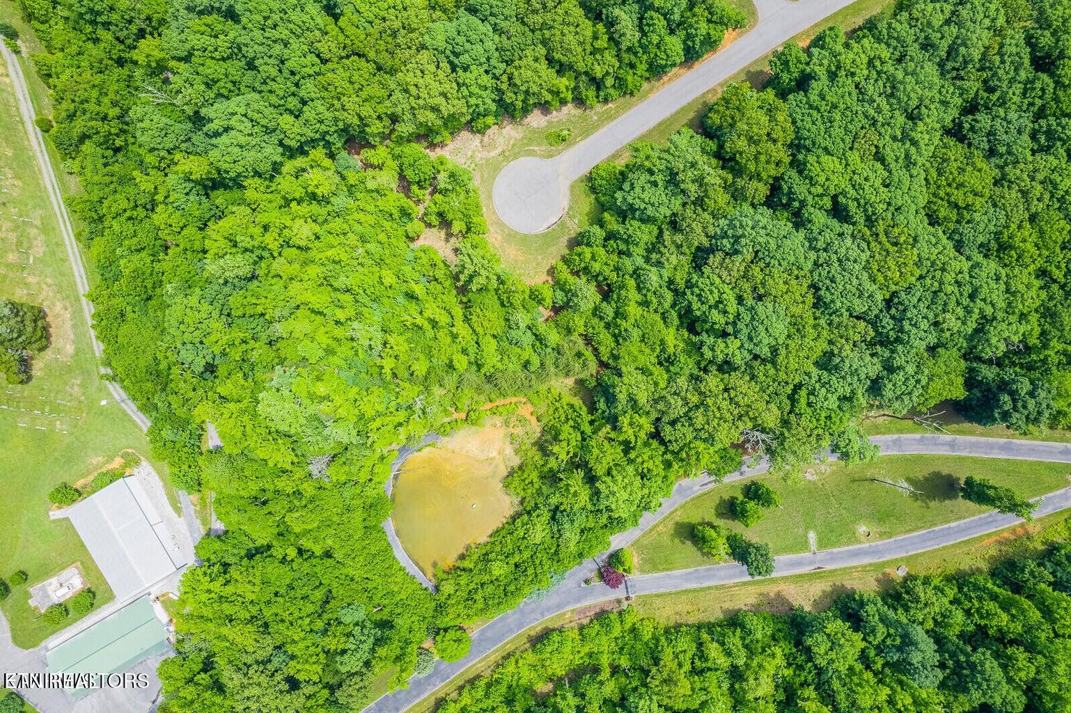439 Ridgeway Pass Spring City TN 37381
