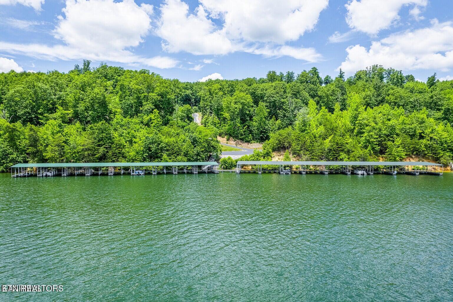439 Ridgeway Pass Spring City TN 37381