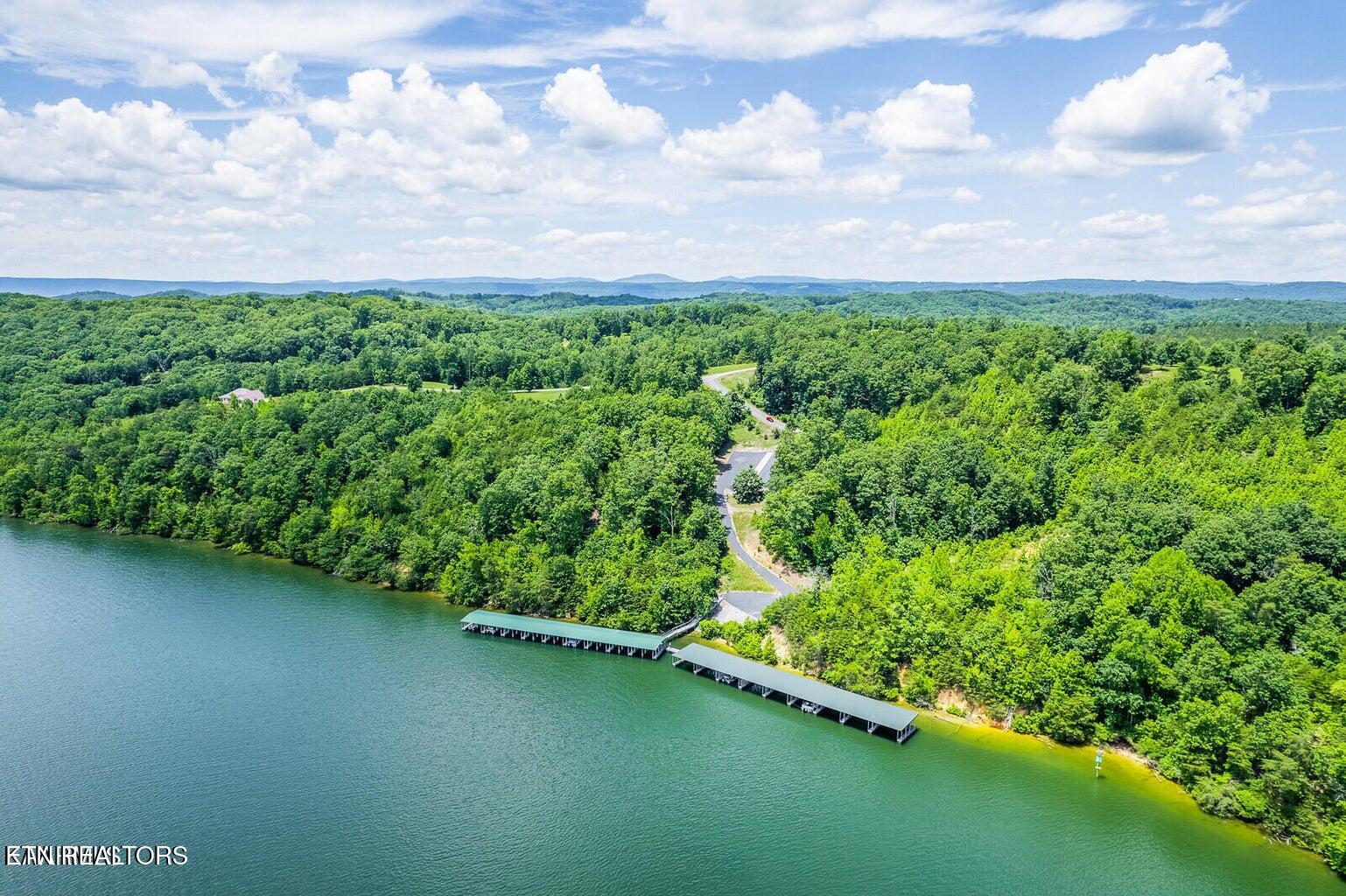 439 Ridgeway Pass Spring City TN 37381