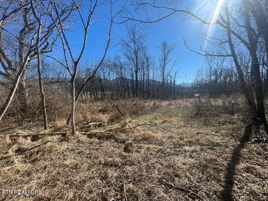 630 Iris Hill Way Newport TN 37821
