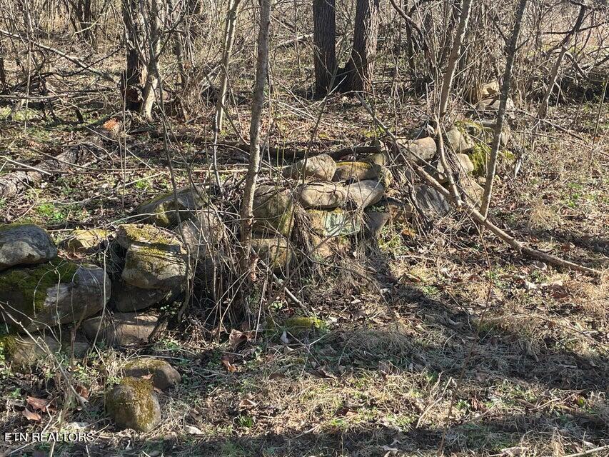 630 Iris Hill Way Newport TN 37821