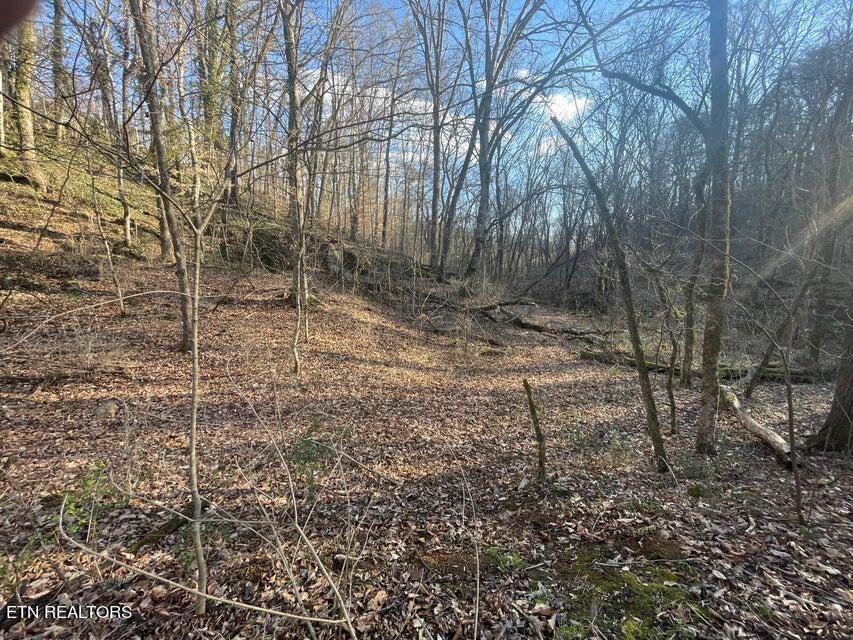 630 Iris Hill Way Newport TN 37821