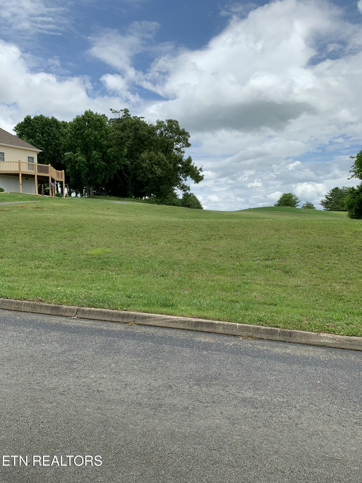 120 Pineberry Drive Vonore TN 37885