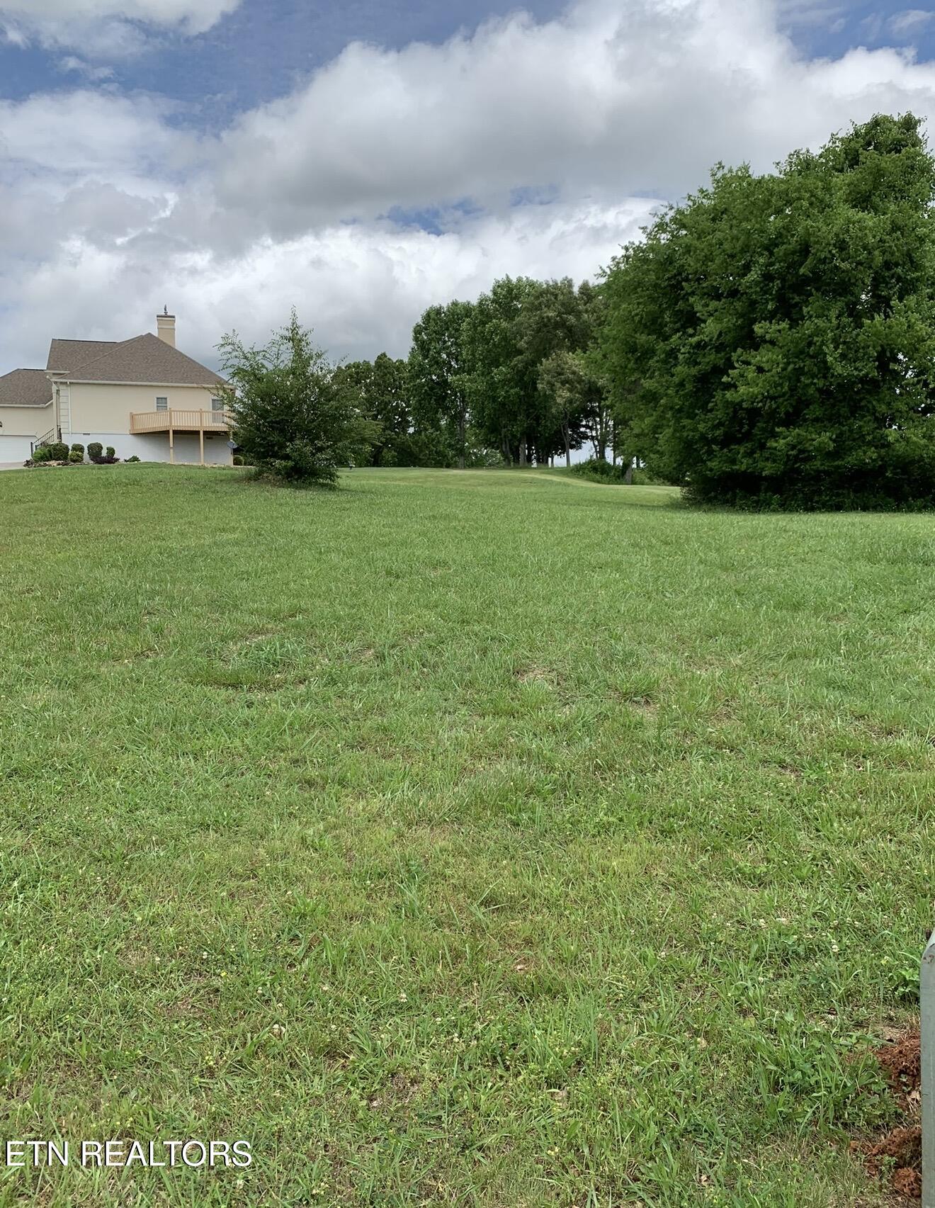 120 Pineberry Drive Vonore TN 37885
