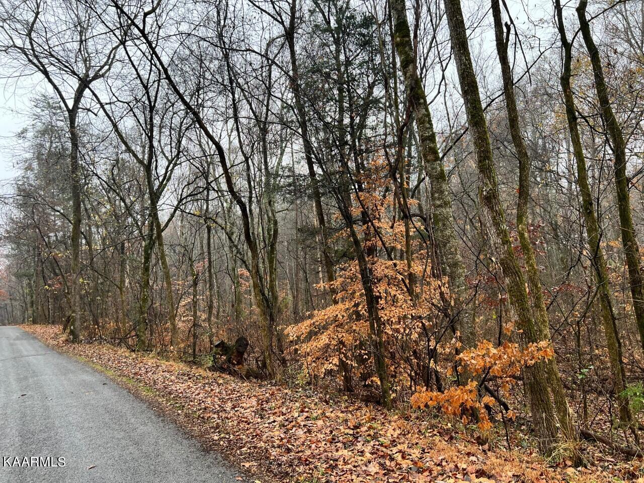 Lot 6 Butler Road Decatur TN 37322