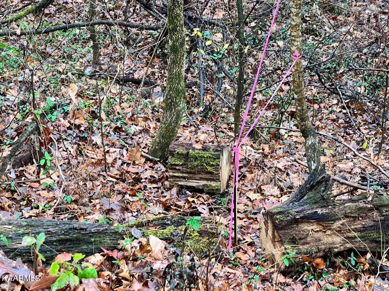 Lot 6 Butler Road Decatur TN 37322
