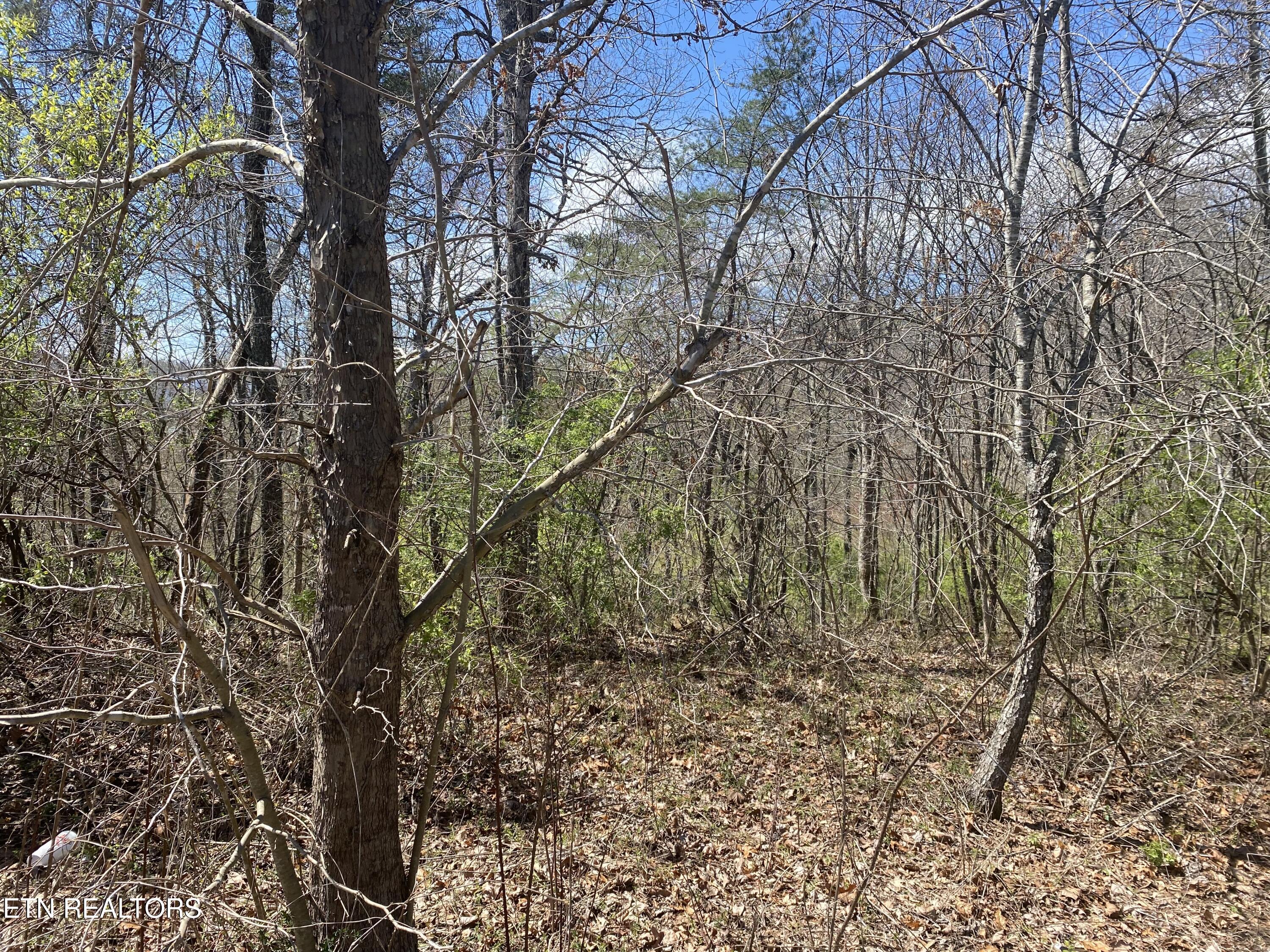 Lot # 5 Highway 127 North Crossville TN 38555