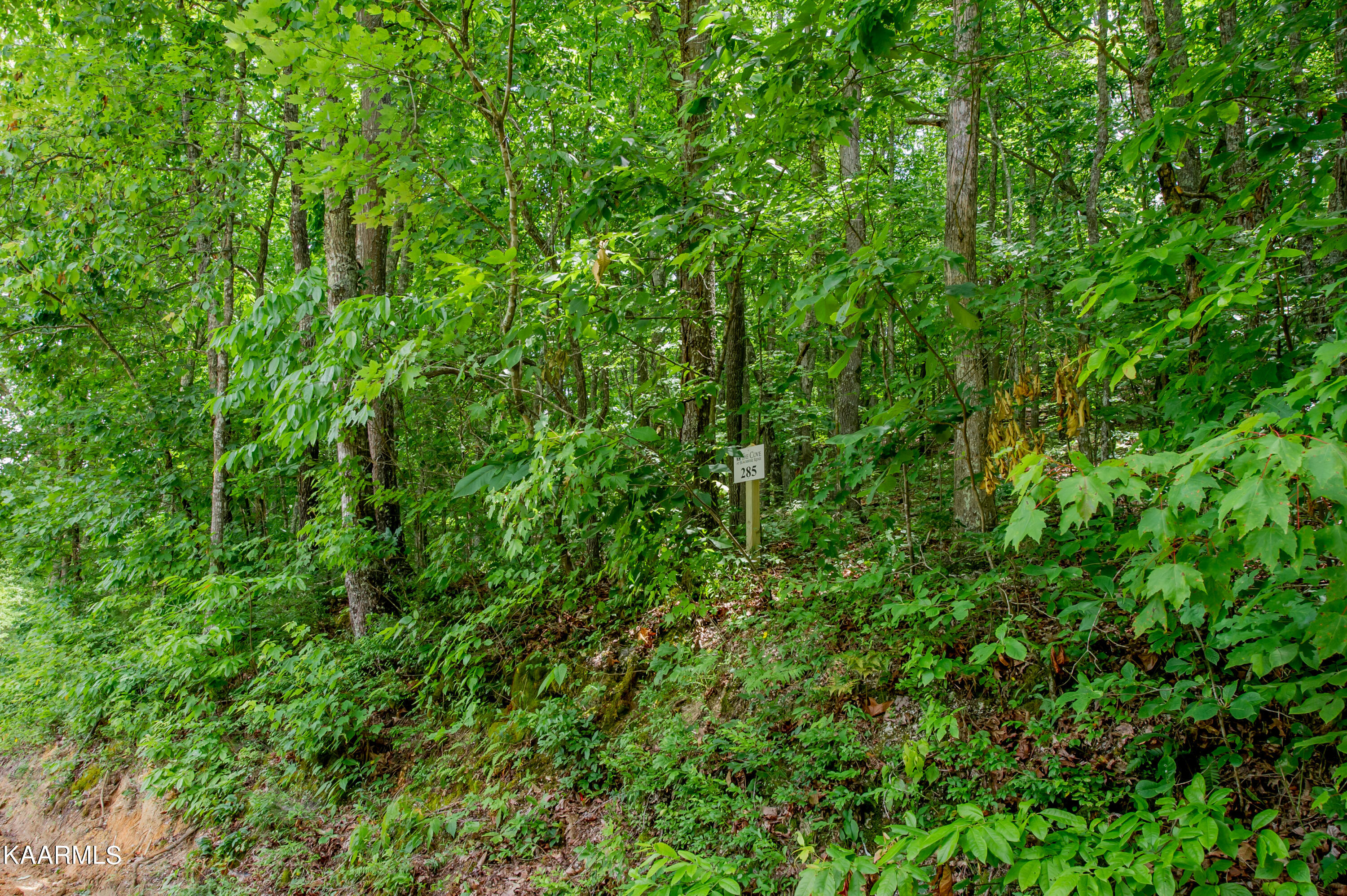 4521 Huffine Road Loudon TN 37774