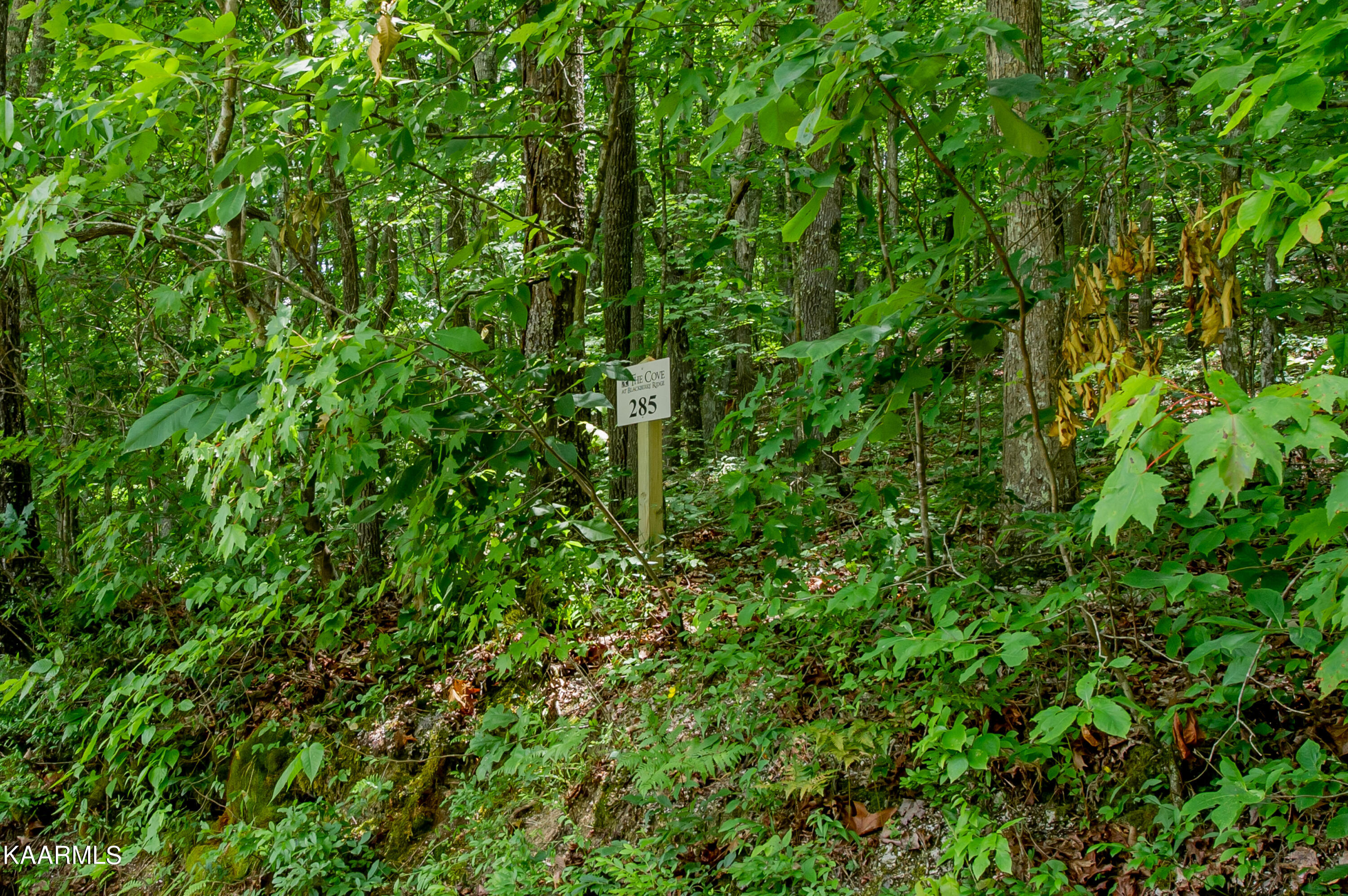 4521 Huffine Road Loudon TN 37774