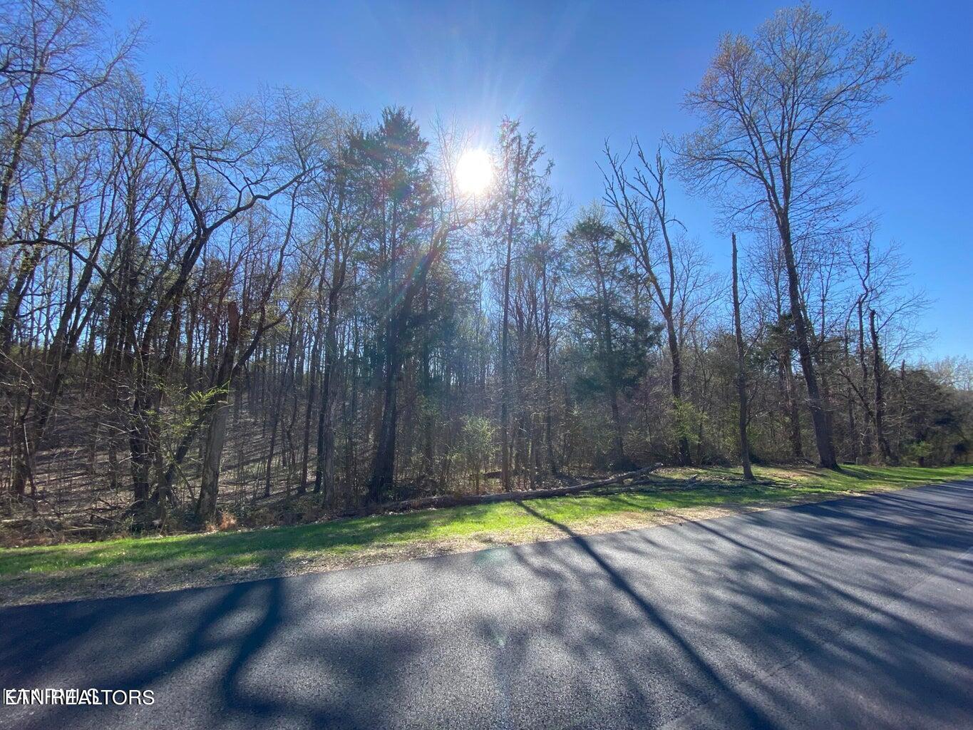 Eagle Ridge Drive Rockwood TN 37854