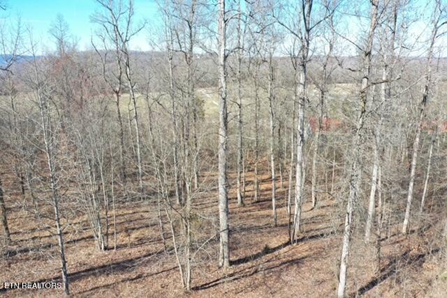 Eagle Ridge Drive Rockwood TN 37854