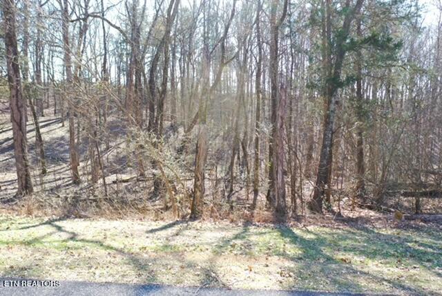 Eagle Ridge Drive Rockwood TN 37854