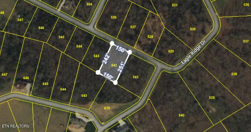 Eagle Ridge Drive Rockwood TN 37854