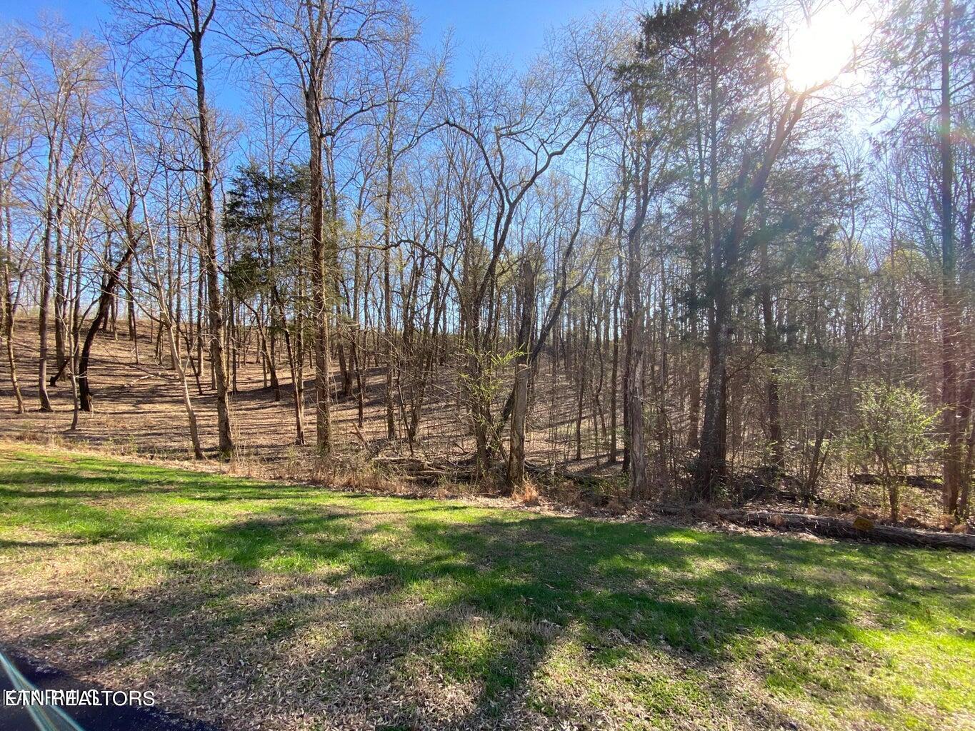 Eagle Ridge Drive Rockwood TN 37854