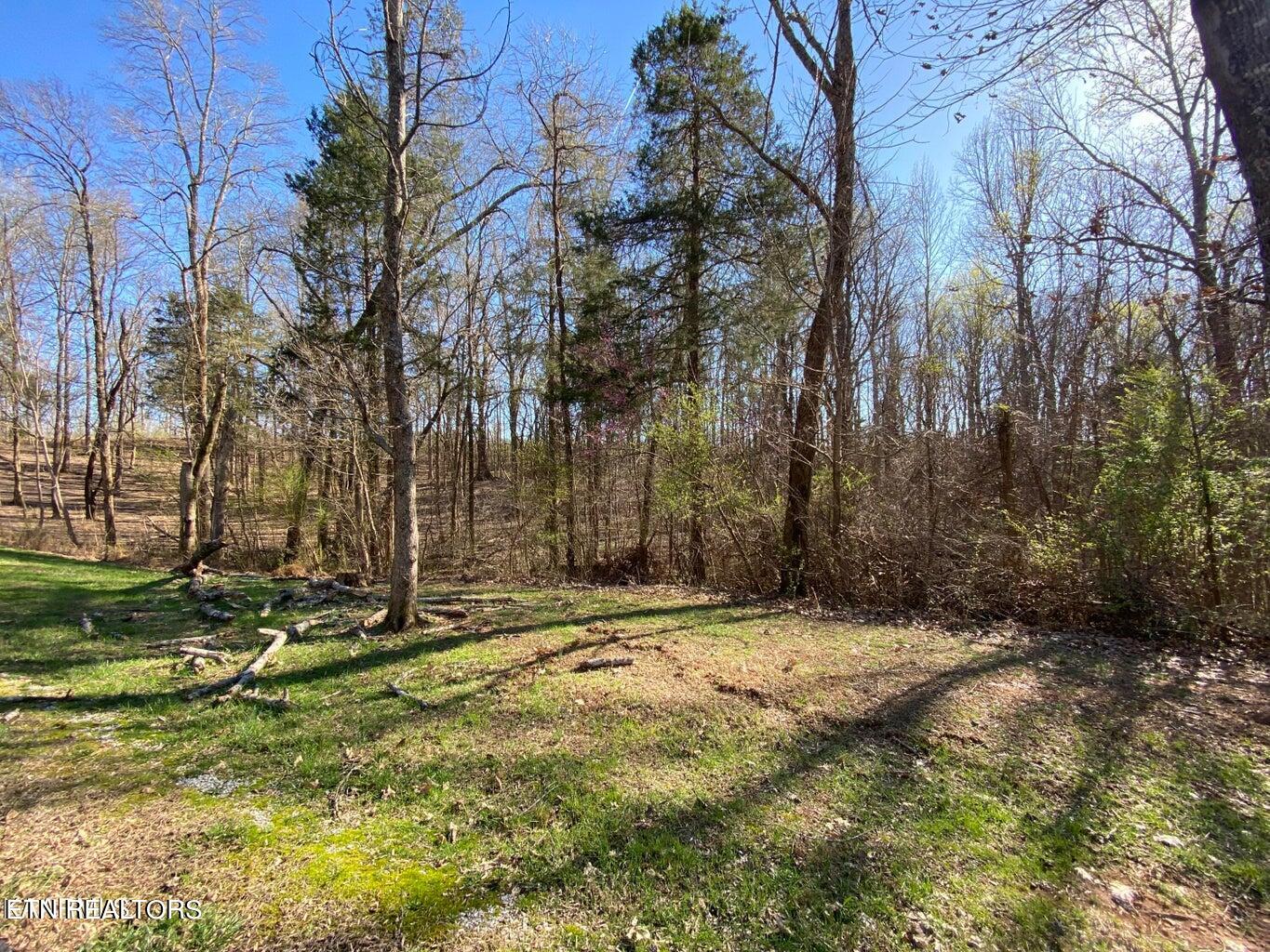 Eagle Ridge Drive Rockwood TN 37854