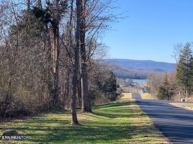 Eagle Ridge Drive Rockwood TN 37854