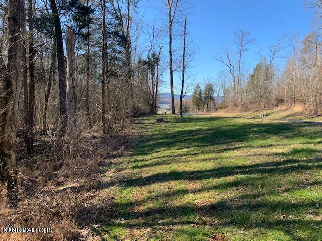 Eagle Ridge Drive Rockwood TN 37854