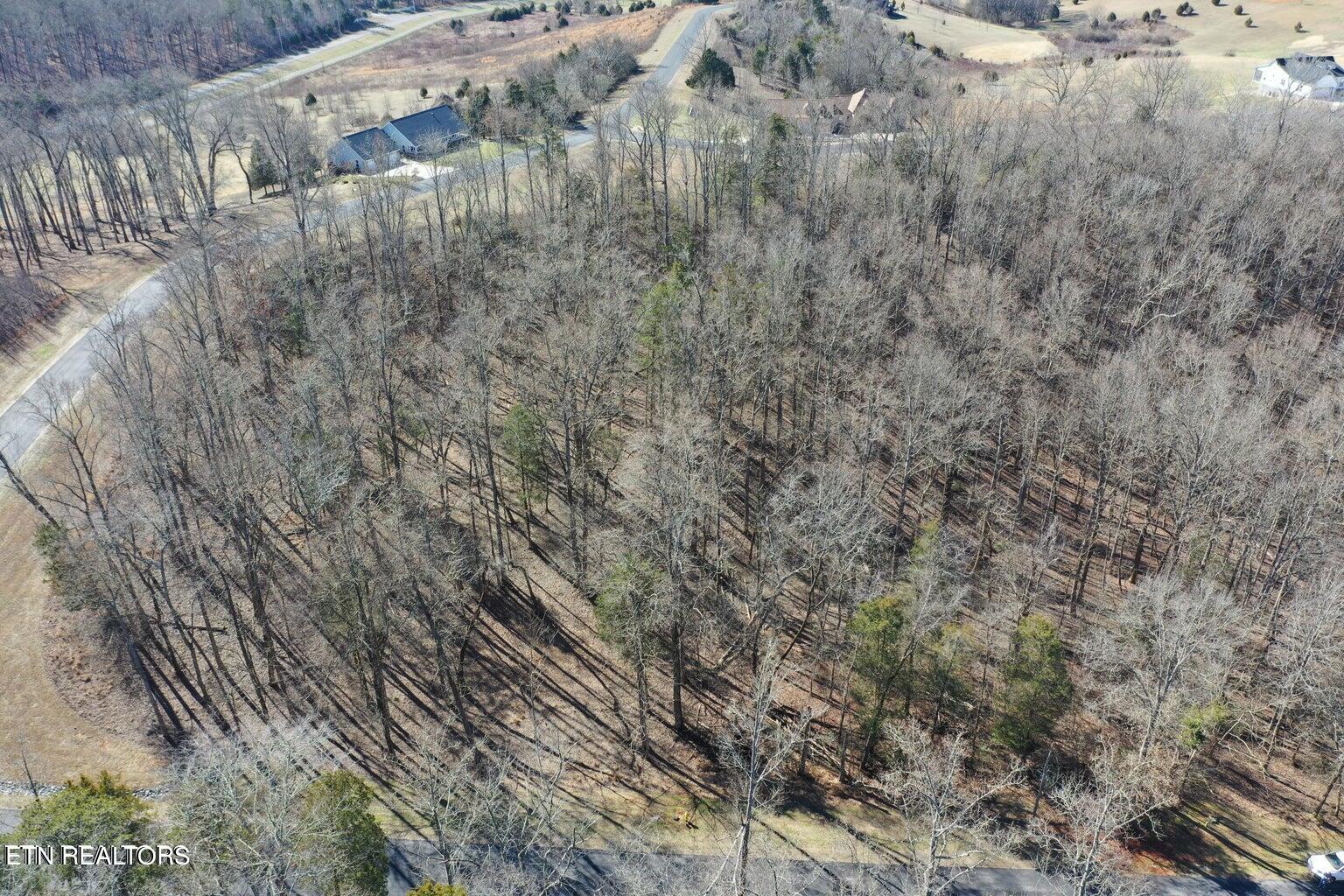 Eagle Ridge Drive Rockwood TN 37854