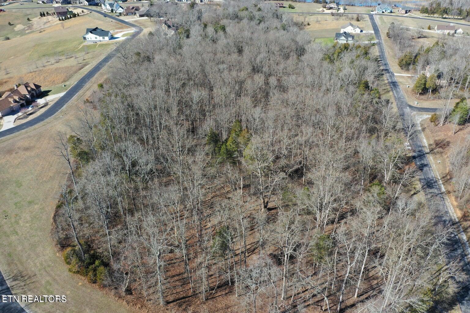 Eagle Ridge Drive Rockwood TN 37854