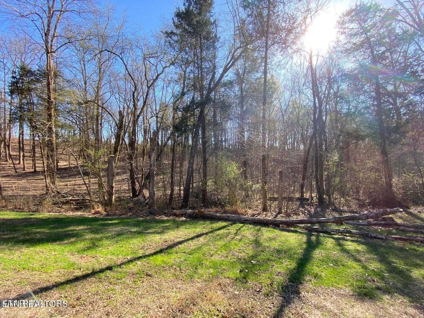 Eagle Ridge Drive Rockwood TN 37854