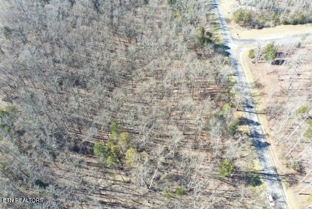 Eagle Ridge Drive Rockwood TN 37854