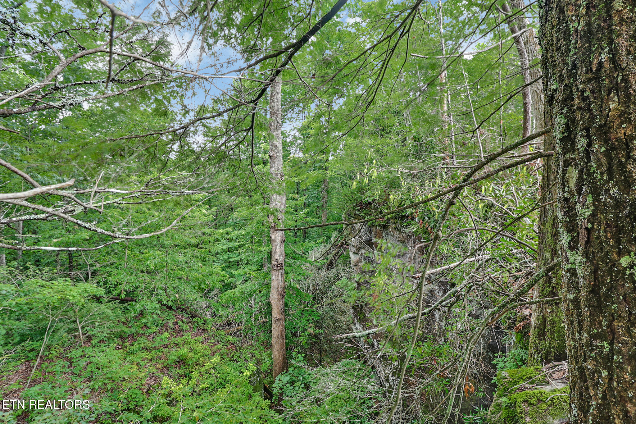 Dripping Springs Road Monterey TN 38574