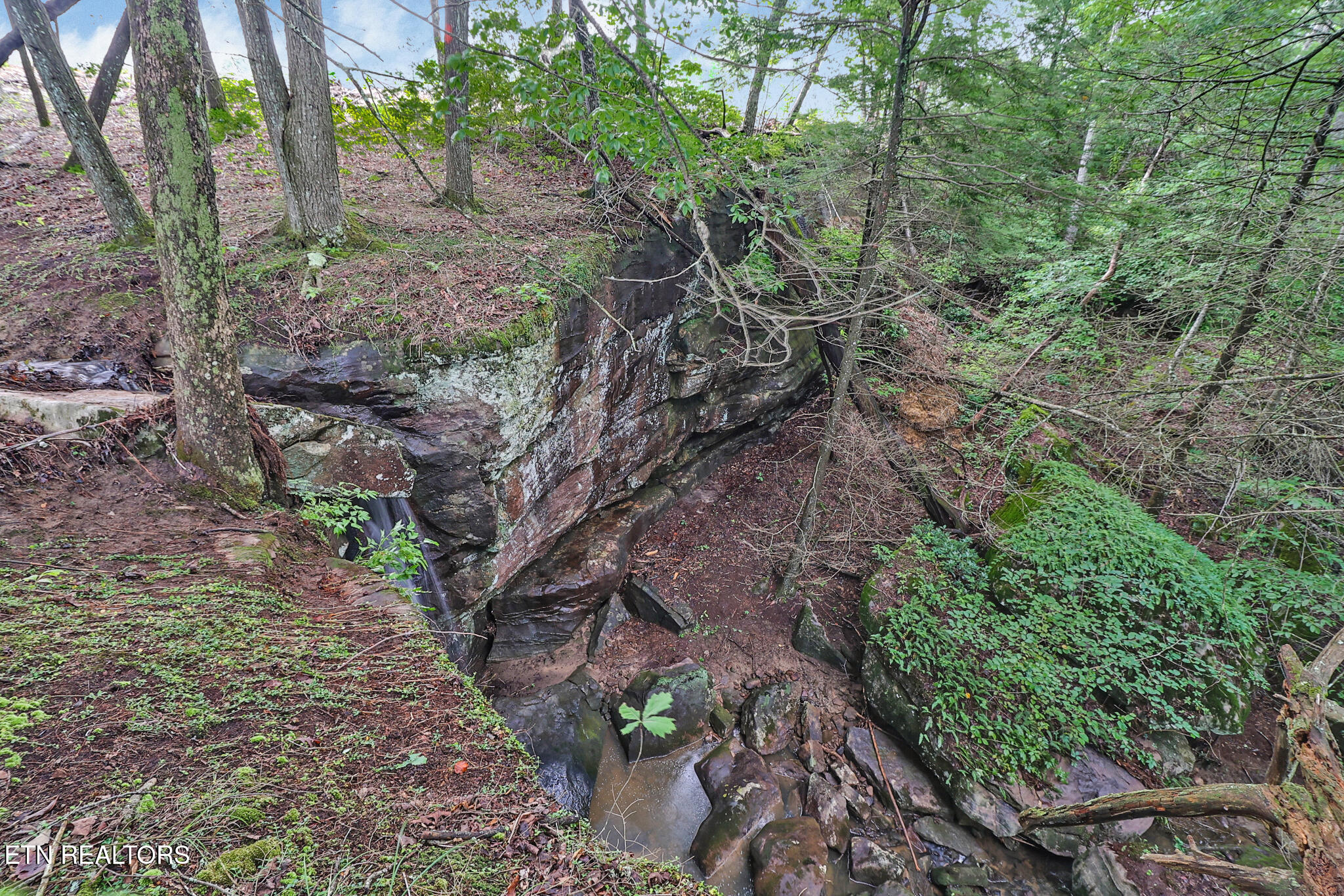 Dripping Springs Road Monterey TN 38574