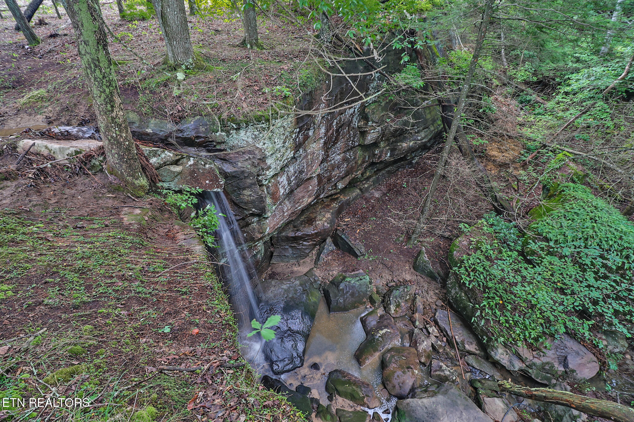 Dripping Springs Road Monterey TN 38574