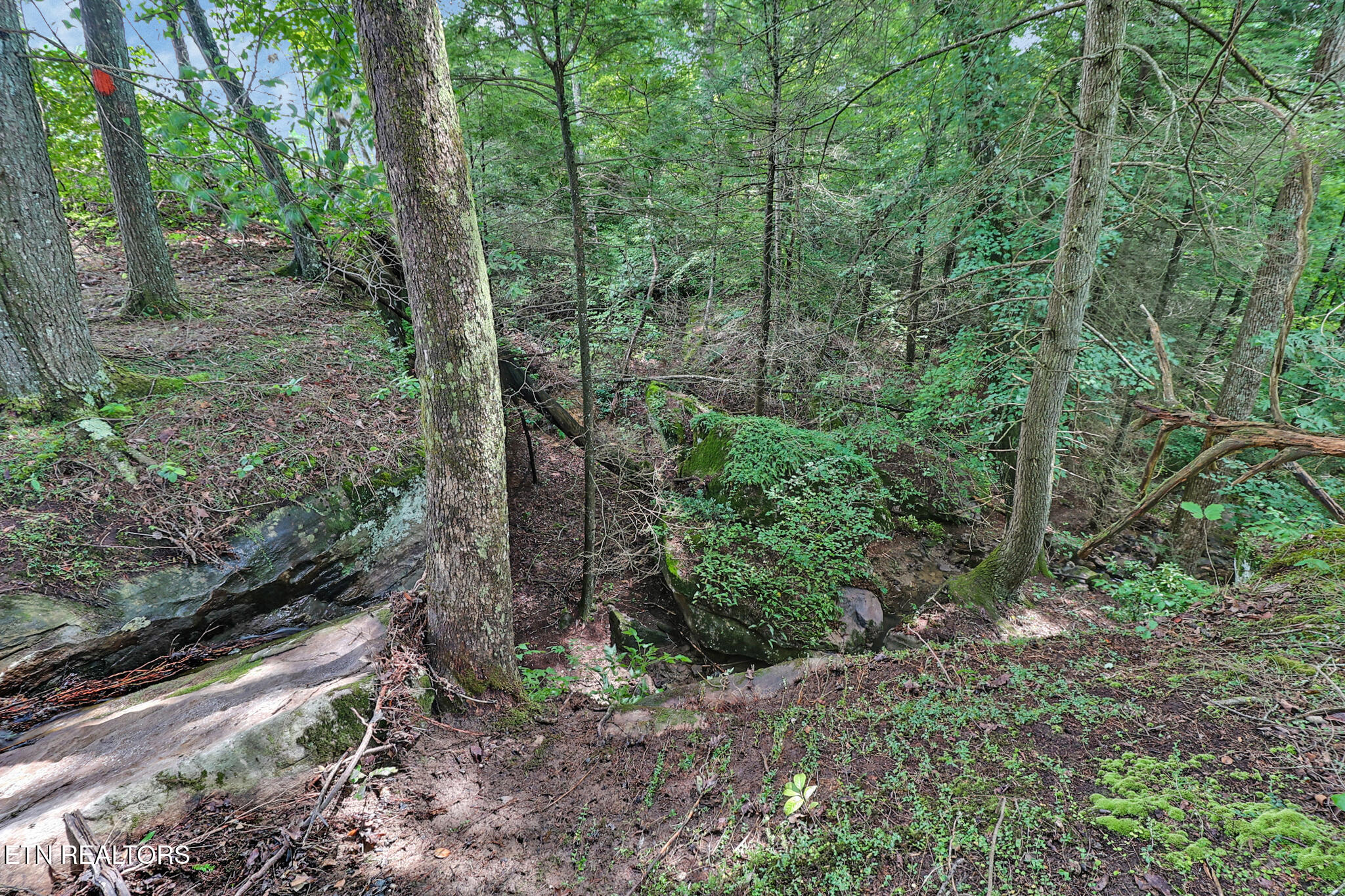 Dripping Springs Road Monterey TN 38574