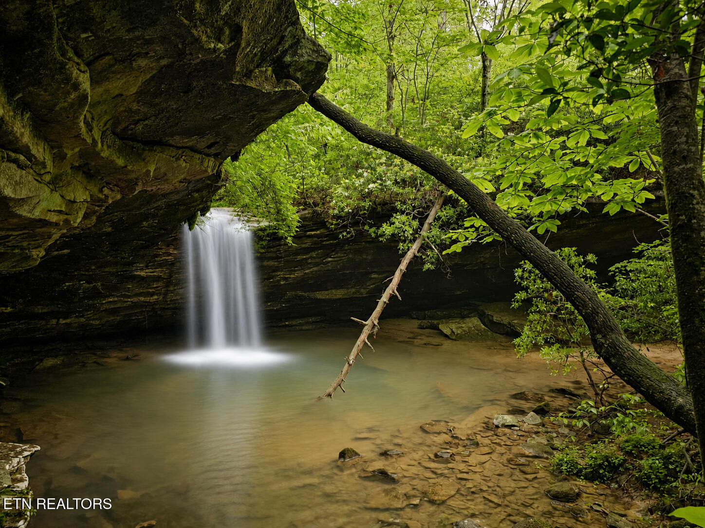 Dripping Springs Road Monterey TN 38574