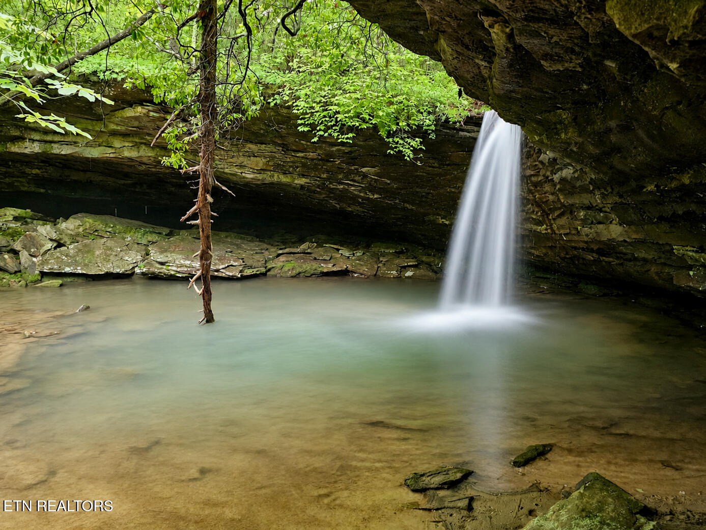 Dripping Springs Road Monterey TN 38574