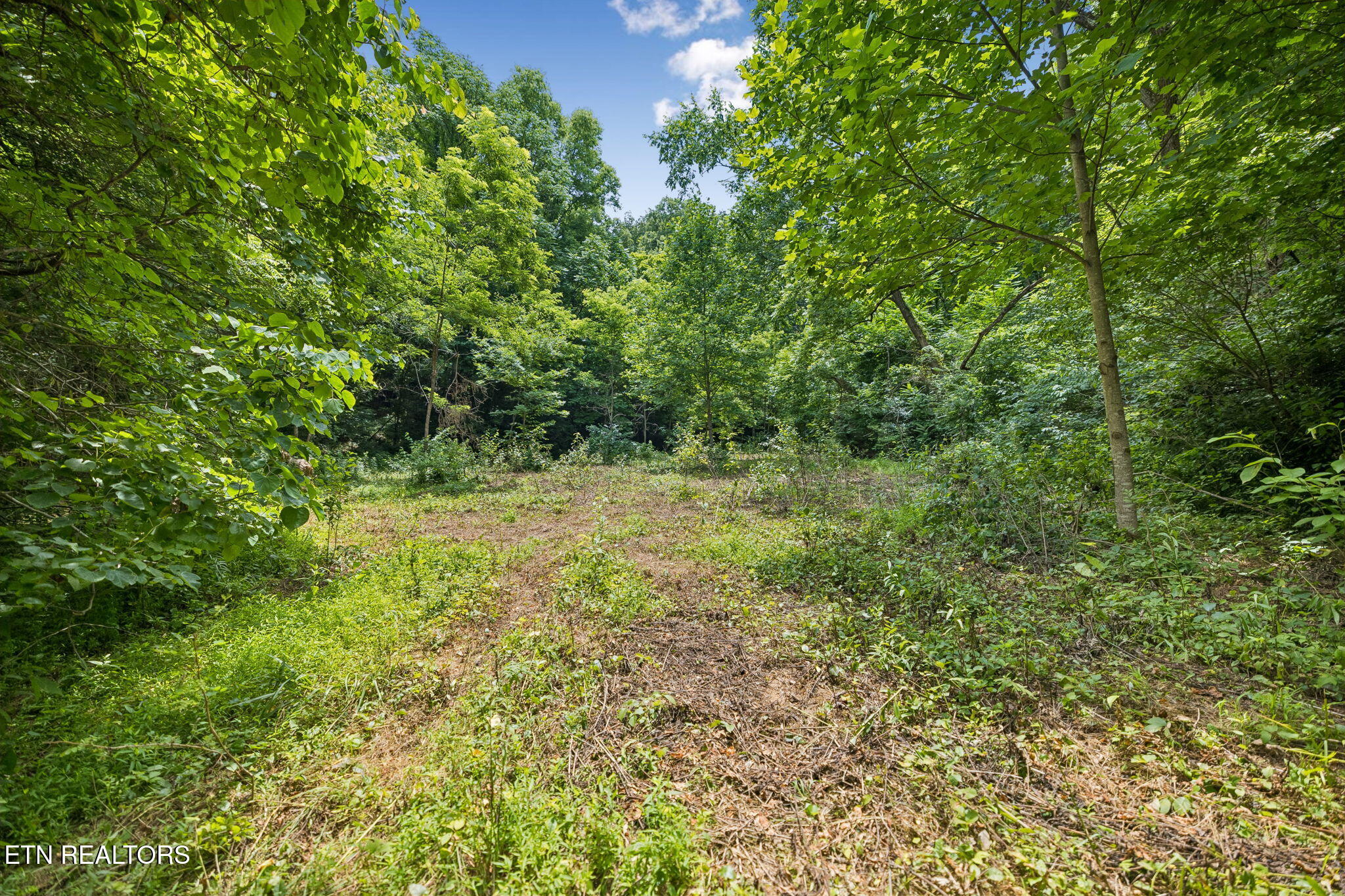 Knob Road Rutledge TN 37861