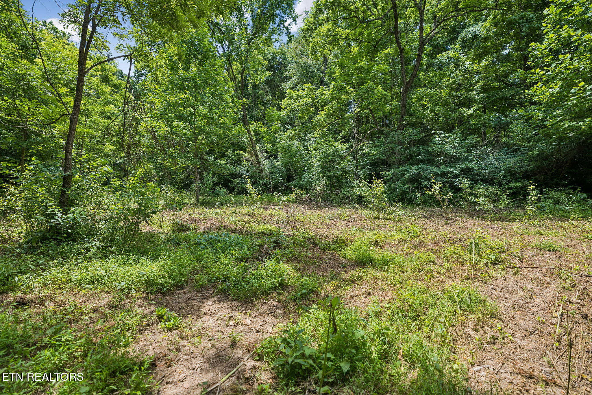 Knob Road Rutledge TN 37861