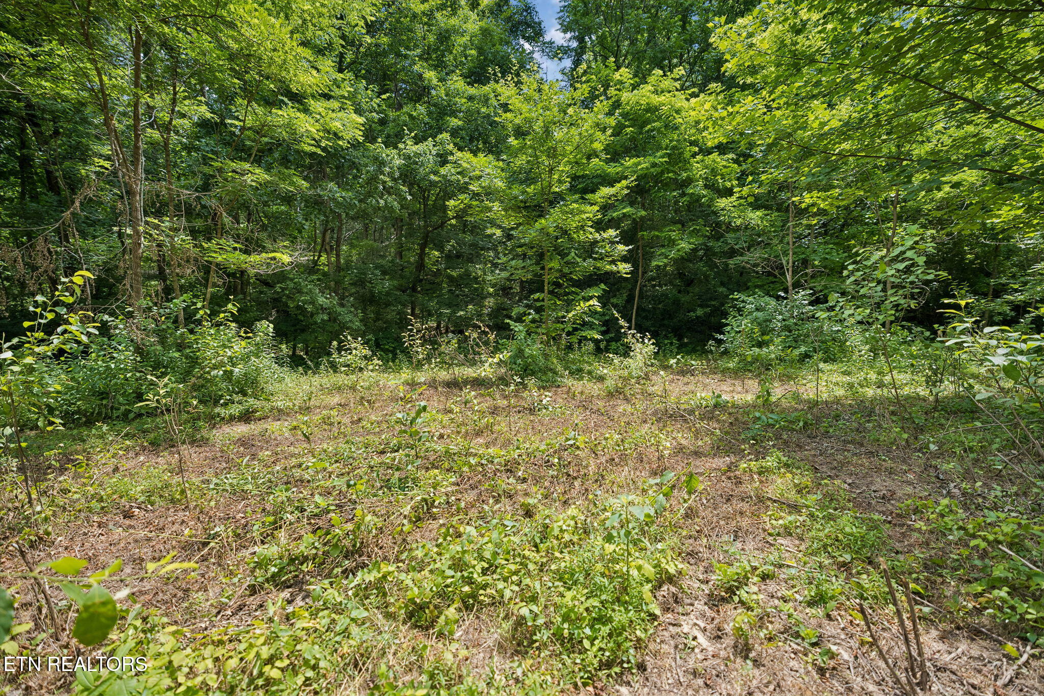 Knob Road Rutledge TN 37861