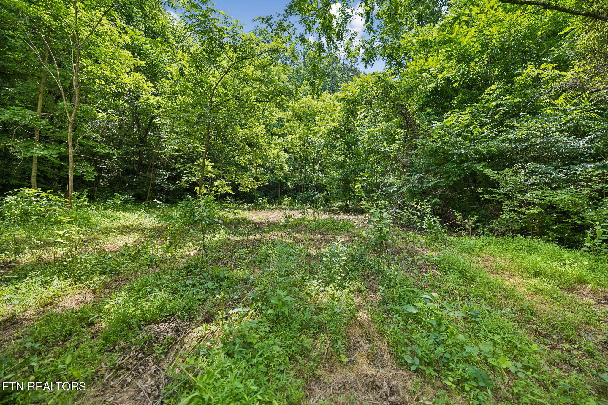 Knob Road Rutledge TN 37861